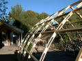  Gothic Arch Greenhouses