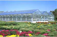 DF Series Greenhouses 