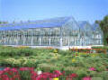 DF Comercial Glass Greenhouse