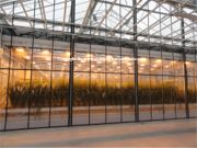 Research Greenhouses