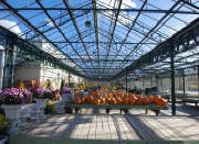 Garden Center Greenhouses