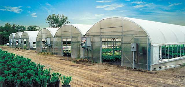 Expansion Mansion Greenhouse