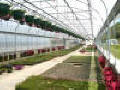 Expansion Mansion Greenhouse