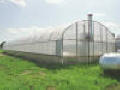 Expansion Mansion Greenhouse