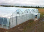 Covering & Structure