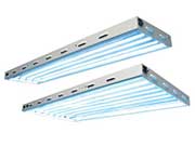 SBT5 HO Fluorescent Light  