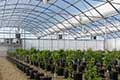 Free Air Series 5000 Greenhouse