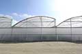 Free Air Series 5000 Greenhouse