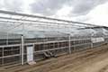 Free Air Greenhouse