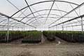 Free Air Series 5000 Greenhouse