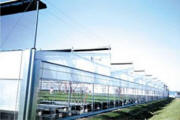 Free Air Series 4000 Greenhouse