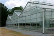 Gable Greenhouse 