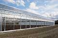 Gable Greenhouse 7500e