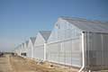 Gable Greenhouse 7500
