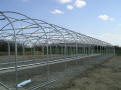  Gothic Arch Greenhouse Projects