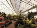 DF Garden Center Greenhouses