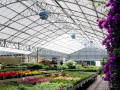 DF Garden Center Greenhouses