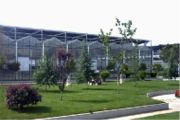Glass Greenhouse