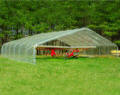 Gothic Cold Frame with Covering