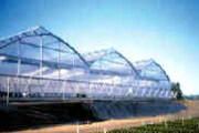Arch Greenhouse