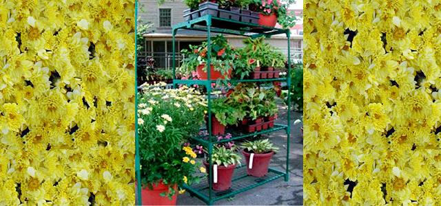 Greenhouse Shelf Unit