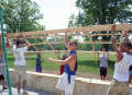 Gothic Arch Greenhouse Projects