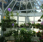 Solar Garden Glazing