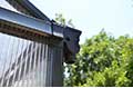 Integrated gutter heads - allow water collection 
