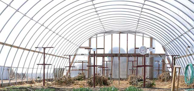 High Roller High Tunnels 