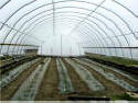 Round Style High Tunnel