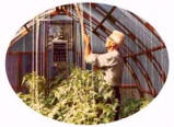 Wm. T. Sierke  -  Co-Founder 