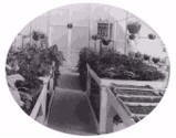 Gothic Arch Greenhouses