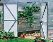 Hanging basket  