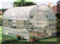 Home Gardener Greenhouse