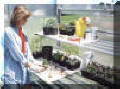 Home Gardener Greenhouse
