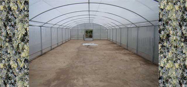 Image of Mesh greenhouse walls material