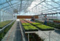 A-Frame Greenhouse Packages