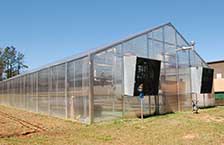 A-Frame Greenhouse Packages