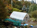 14' x 20' Gothic Arch Greenhouse Photo Gallery