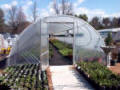 Kool Houses