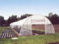 Kool Houses