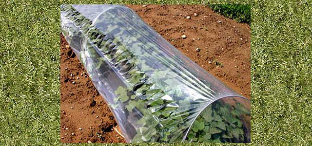 Low Tunnels 