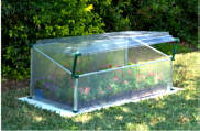 Mini Greenhouse Cold Frame Single