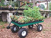 Nursery Wagon 