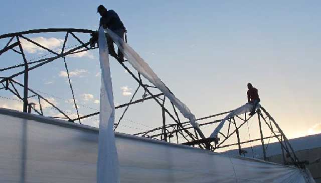 Greenhouse Poly Films