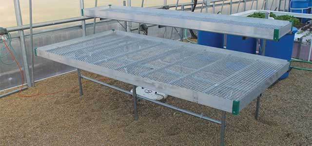 Commercial Multi Level Greenhouse Bench Systems Gothic Arch