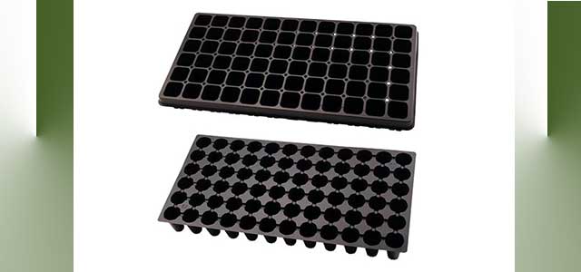 Propagation Plug Tray 