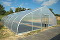 PT-30 Greenhouses