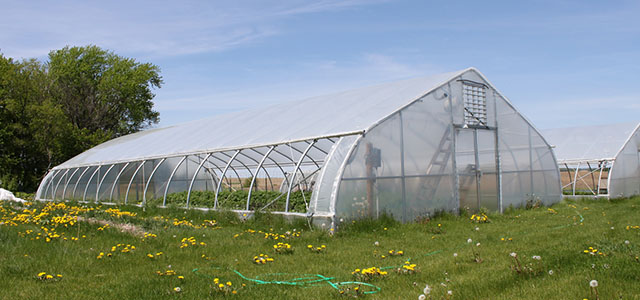 Kool Houses