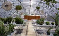 Economy Greenhouse Packages
